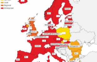 Húsz európai országban van influenzajárvány