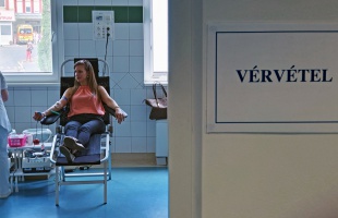 Nyáron mindig vérhiány van, így mi is a vérünket adtuk