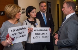 Tüntetés, türelem, fegyelem