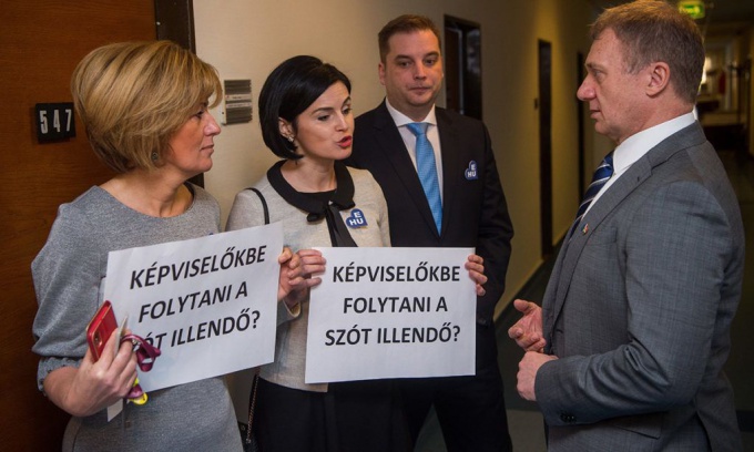 Tüntetés, türelem, fegyelem