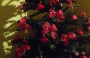 Zsófi karácsonyfája