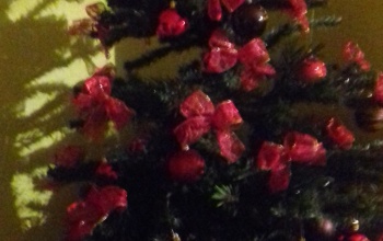 Zsófi karácsonyfája