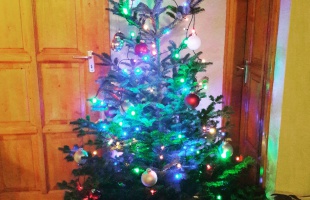 Gyulai család karácsonyfája