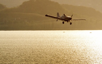 Megvolt az első szúnyogirtás a Balatonnál