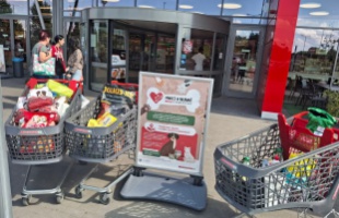 Adományt gyűjtöttek a menhelyek által gondozott állatok javára