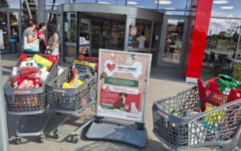 Adományt gyűjtöttek a menhelyek által gondozott állatok javára