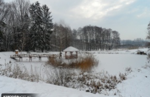 Havas Tókaji parkerdő