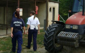 Betakarítás: a katasztrófavédelem is ellenőriz