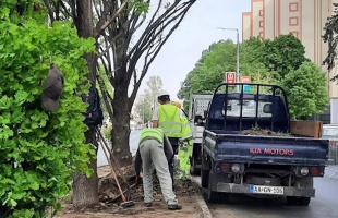 Újra szép lesz a zöldsáv a Füredi utcában