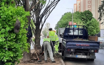 Újra szép lesz a zöldsáv a Füredi utcában