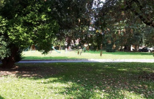 Éjszaka újabb hidegfront jön, hétfőre még 5 fokot esik a hőmérséklet