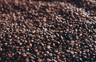 Az arabica kávé jövője: kihívások és regeneratív mezőgazdasági megoldások