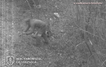Hurokkal ejtett el egy őzbakot az orvvadász egy kaposvári erdőben, a vadkamera buktatta le