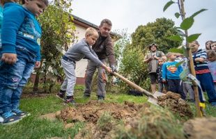 Almafaültetéssel ünnepelték az őszt a gyakorló ovisok - fotók