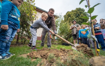 Almafaültetéssel ünnepelték az őszt a gyakorló ovisok - fotók