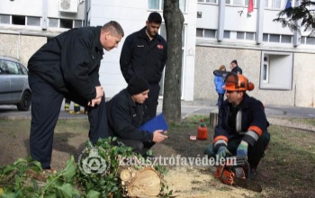 Szétdarabolták a járművet, kiszabadították a sérültet az önkéntesek