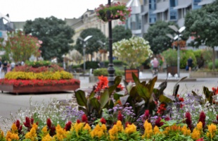 Csaknem 80 elismerést adtak át a Virágos Magyarország díjátadóján