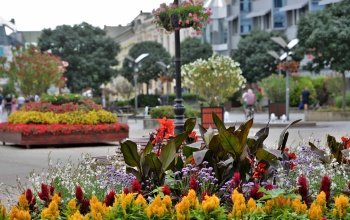 Csaknem 80 elismerést adtak át a Virágos Magyarország díjátadóján