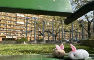 Nyuszik lepték el a kaposvári játszótereket