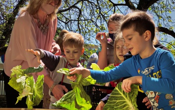Hogyan tudunk otthon komposztálni? Mi kerülhet a komposztládába? Segítünk!