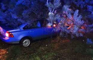 Hétvégi tűzoltói beavatkozások – vadgázolás, tűzeset, baleset, műszaki mentés