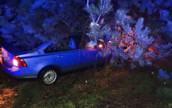 Hétvégi tűzoltói beavatkozások – vadgázolás, tűzeset, baleset, műszaki mentés