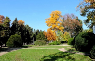 A Berzsenyi park őszi színei