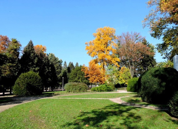 A Berzsenyi park őszi színei