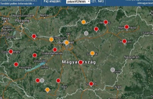 A pázsitfűfélék pollenkoncentrációja néhol elérheti a magas szintet