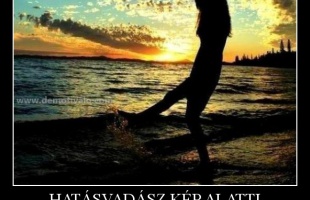 Te is lehetsz guru