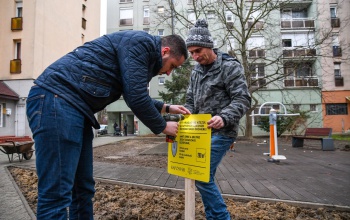 Új ágyásokat alakítanak ki a Honvéd utcai tömbbelsőben