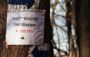 Erdőlátogatási tilalom március végéig több somogyi területen