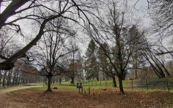 Megszépült a kutyafuttató