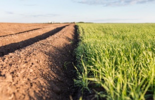 92,5 milliárd forint talált gazdára az agrárökológiai programban