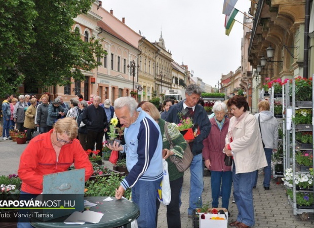 Szabad a virágvásár a Fő utcán!