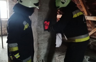 12 tűzeset, 12 műszaki mentés és egy kútba esett birka: ilyen volt a tűzoltók hétvégéje - VIDEÓ