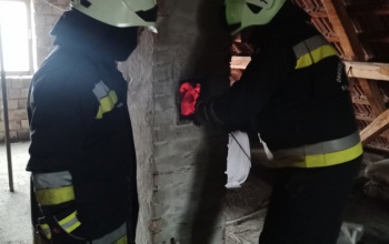 12 tűzeset, 12 műszaki mentés és egy kútba esett birka: ilyen volt a tűzoltók hétvégéje - VIDEÓ
