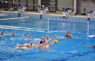 A Népligetben száll medencébe a KVK