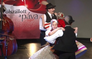 Fölszállott a páva Kaposváron