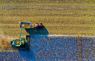 A fiatal gazdáknak is elérhetővé teszik az ingyenes pályázatírási szolgáltatást az Agrárkamara