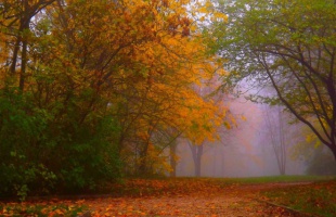 Folytatódik a borult, párás időjárás