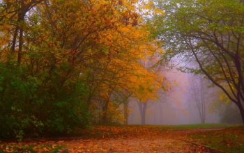 Folytatódik a borult, párás időjárás