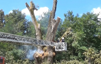 23 órás küzdelem Patkó Bandi fájáért - videó