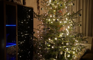 Leuschnerék karácsonyfája