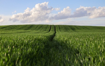 Fejlesztési forrás a hazai agráriumnak
