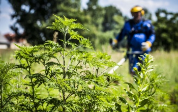 Elindult a razzia: ötmilliós bírságot kaphat, aki kertes házban él