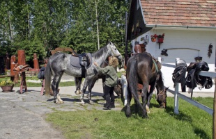Adománygyűjtési nap lesz a Meistro tanyán