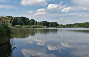 Májusi séta a Desedánál