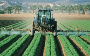Megkezdődött a járvány miatt nehéz helyzetbe került agrárvállalkozások támogatásainak kifizetése