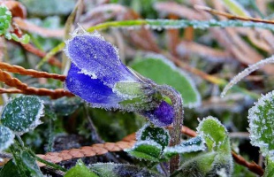 Csapadékos, téli idővel indul a december